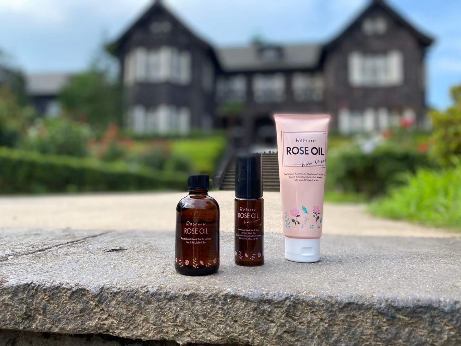 黒ばら「ロゼノア」3点セット　６名様分