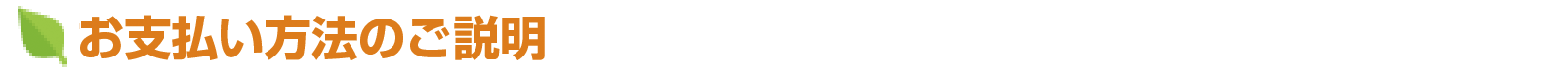 お支払い方法のご説明
