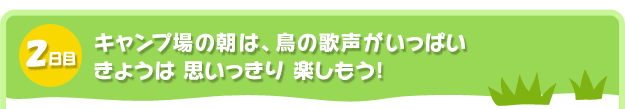 2日目。キャンプ場の朝は、鳥の歌声がいっぱい
きょうは 思いっきり 楽しもう!