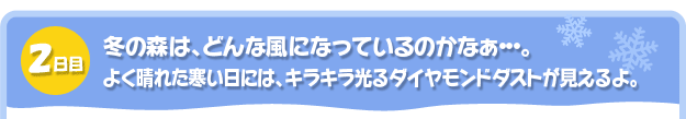 ２日目。冬の森は、どんな風になっているのかなぁ・・・。
よく晴れた寒い日には、キラキラ光るダイヤモンドダストが見えるよ。