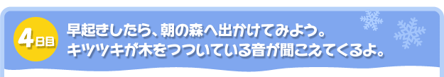 4日目。早起きしたら、朝の森へ出かけてみよう。
キツツキが木をつついている音が聞こえてくるよ。
