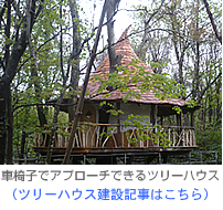 車いすでアプローチできるバリアフリー仕様のツリーハウス