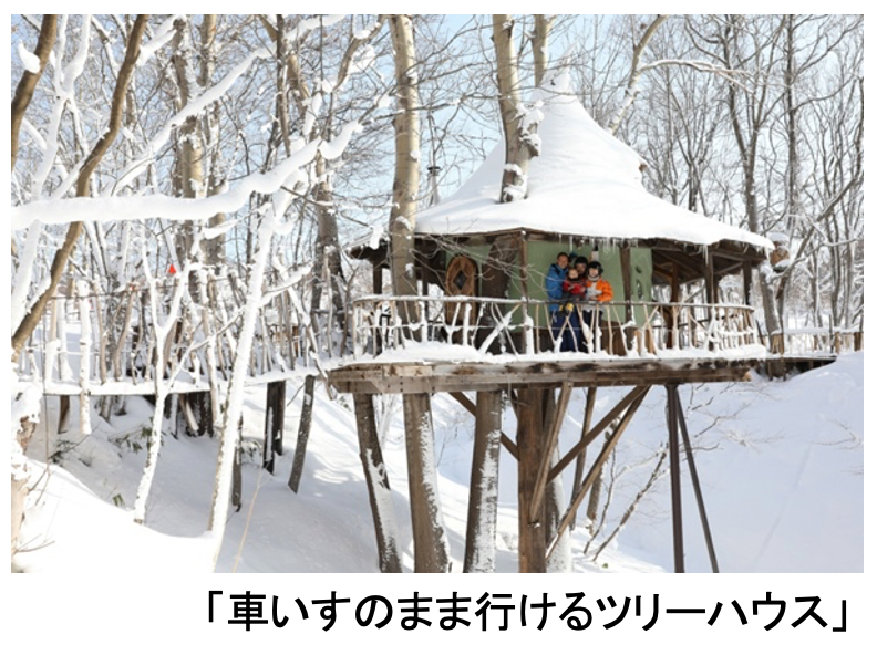 車いすのまま行けるツリーハウス